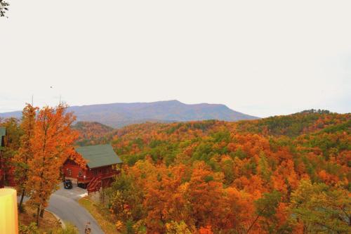 Wild Mountain Honey 3 Bedroom/3 Bath Home with Home Theater in Pigeon Forge, USA