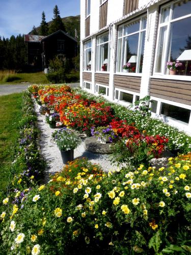 Tronsvangen Seter - image 5