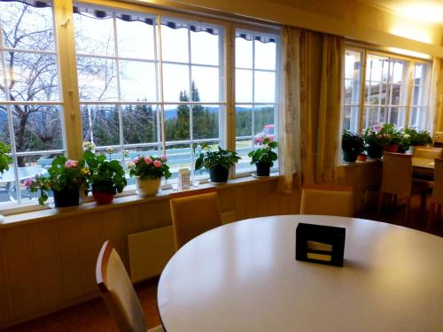 Tronsvangen Seter - image 12