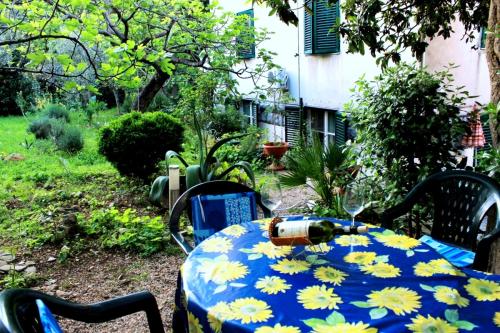 Apartment with garden - Zuvan