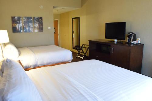 Holiday Inn Express Hotel & Suites Watertown - Thousand Islands, an IHG Hotel