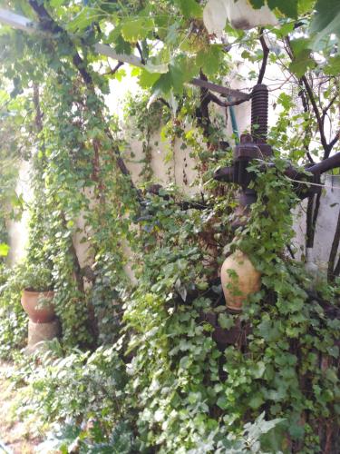  El Sueño de Lucrecia in Villarrubia de Santiago
