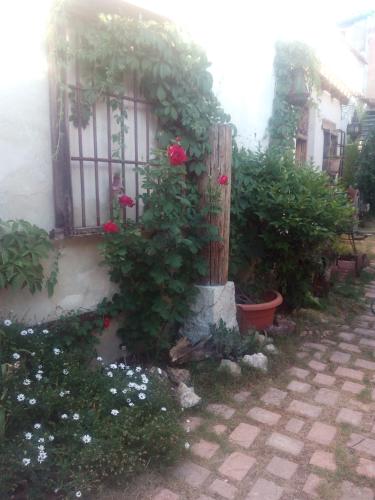  El Sueño de Lucrecia in Villarrubia de Santiago