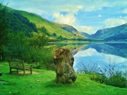 Pen-Y-Bont Hotel - image 12