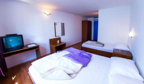  Triple Room Drasnice 3329r, Pension in Drašnice