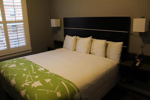 Layne Hotel Room Type - Standard King Room