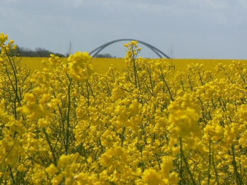 Ostseebrise-Fehmarn