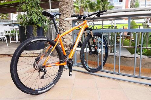 Cardon Big Calm 15 Cardon Big Calm 15