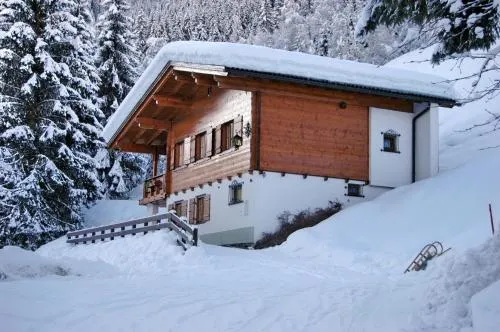 Alpenstern in Gaschurn, Österreich
