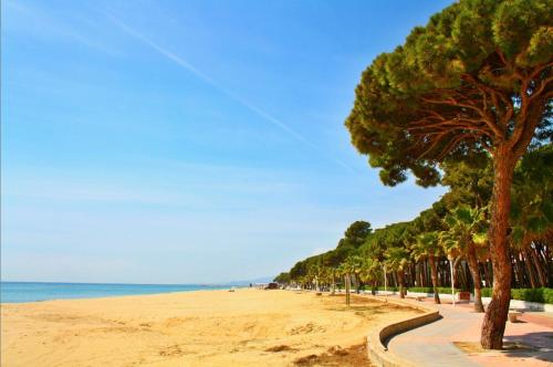 Lovely villa next to the beach - image 7