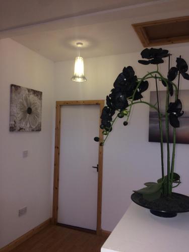 Eastgate Apartment - main image