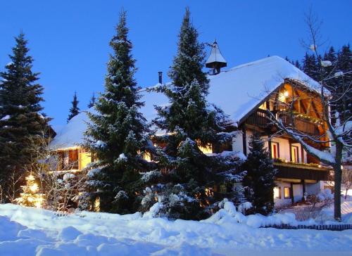 Haus Schwarzwaldmadel In Germany