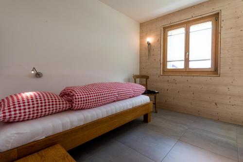 Domus Major Domus Major