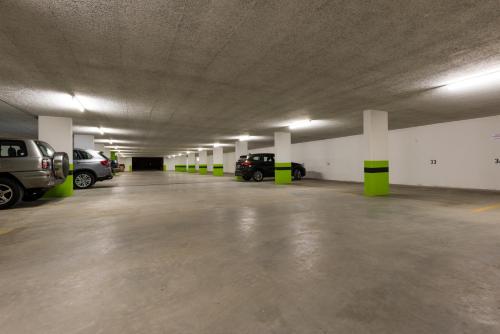 Domus Major Domus Major