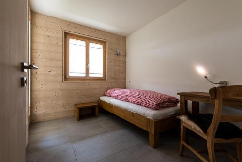 Domus Major Domus Major