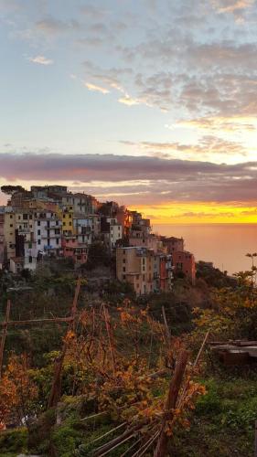  Terre Apartment in Corniglia