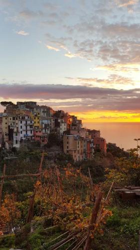 B&B Corniglia - Terre Apartment - Bed and Breakfast Corniglia