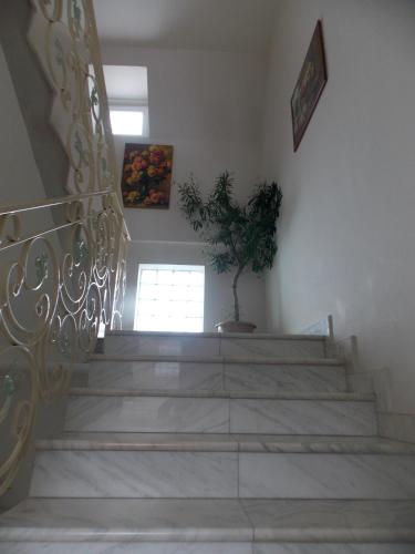 大堂, Pensiune Xe-Mar in 阿拉德