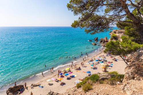 ARENDA Cala Beach 2 Pino Alto