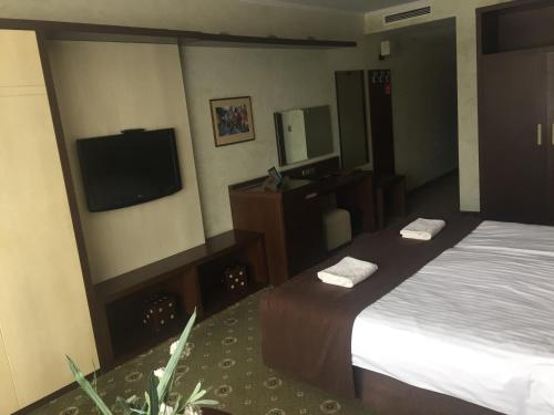 Park Hotel Izida - image 8