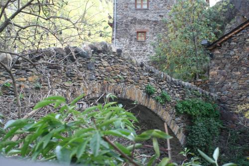 Hotel Estanys Blaus - image 6