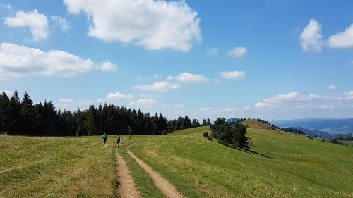 Apartamenty Tyrol - image 5