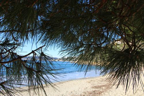 Hotel de la Fossette - main image