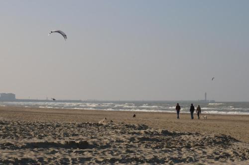 Hotel Le Transat Bleu - image 3