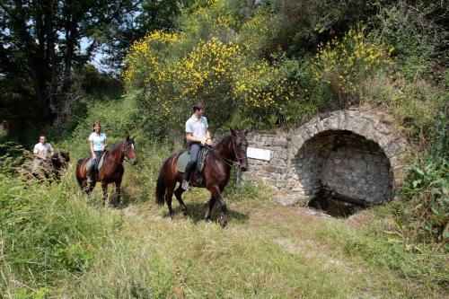 Agriturismo La Forra - image 11