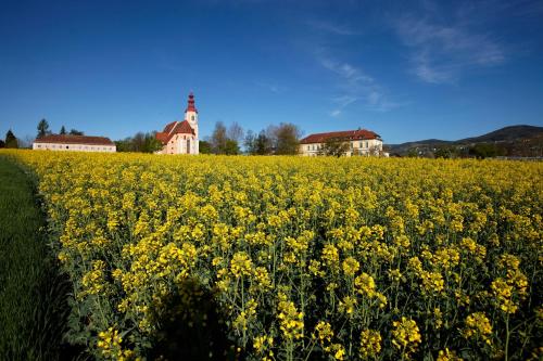 Gasthof Pack "Zur Lebing Au"