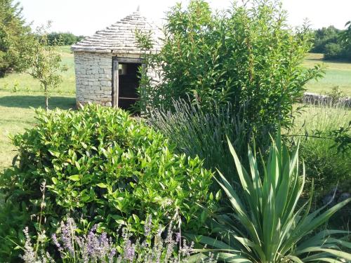 Holiday Home Bozac - main image