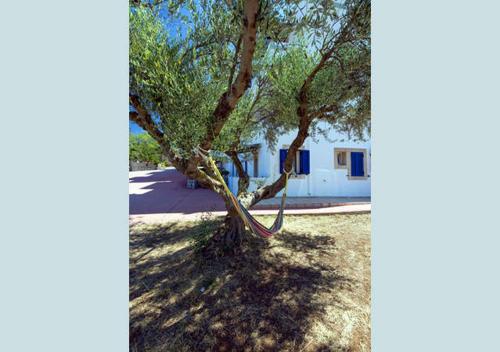 Contaratos Holiday Lettings 3 - image 5