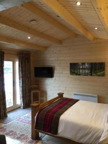 Auchenlea lodges - image 3