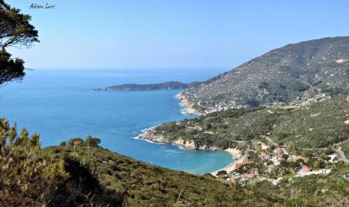 Le Soleil, Campo nell'Elba (photo 9)