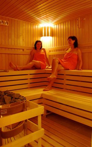 Saun, Penzion Relaxko in Fulnek