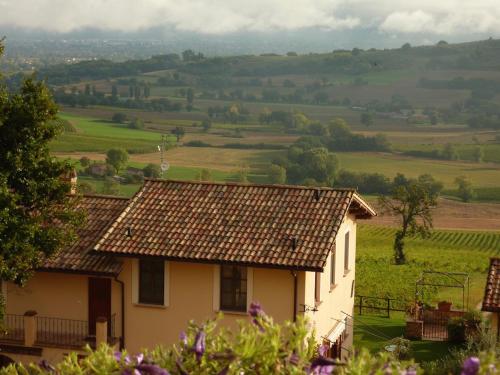 Genius Loci Country Inn - Accommodation - Bevagna