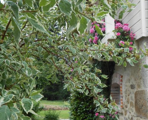 Les Maisons de Concasty