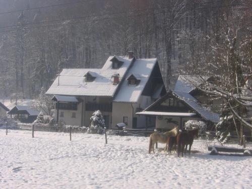 Apartments Gubanec - Cerklje na Gorenjskem