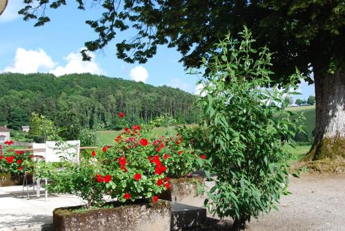 Les Maisons de Concasty