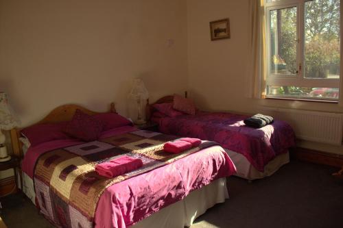 Penybryn Cottages - image 9