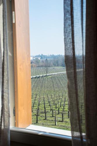 B&B Terre Boscaratto - image 14
