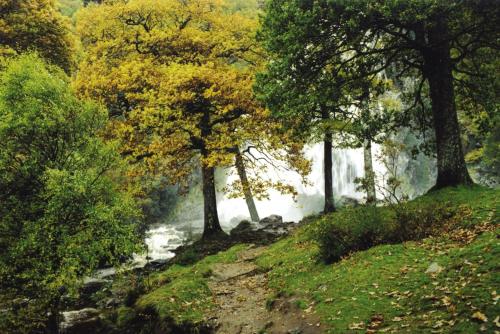 Riverside Holiday Homes - image 10