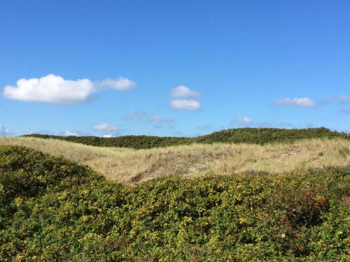 Petine Langeoog