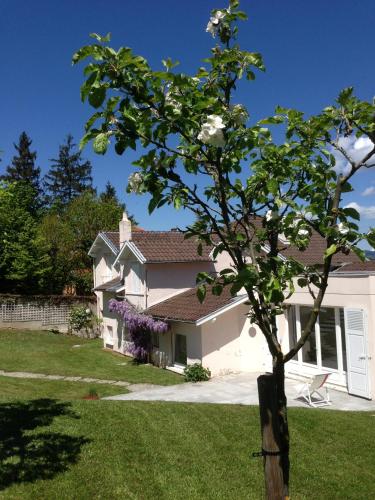 Clos des Campanules photo 16