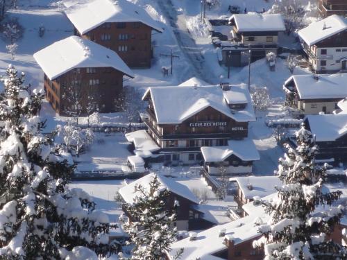 Fleur des Neiges - Hôtel - Morzine