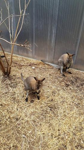 Sport Pension Cibulka - main image