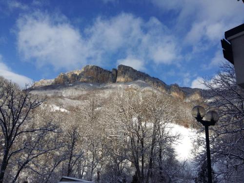 Family Hotel Teteven - image 10