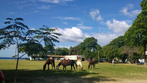 Hotel Guanacaste Lodge