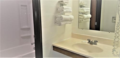AmeriVu Inn & Suites-Avon - image 4