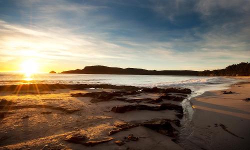 布鲁尼岛43度公寓